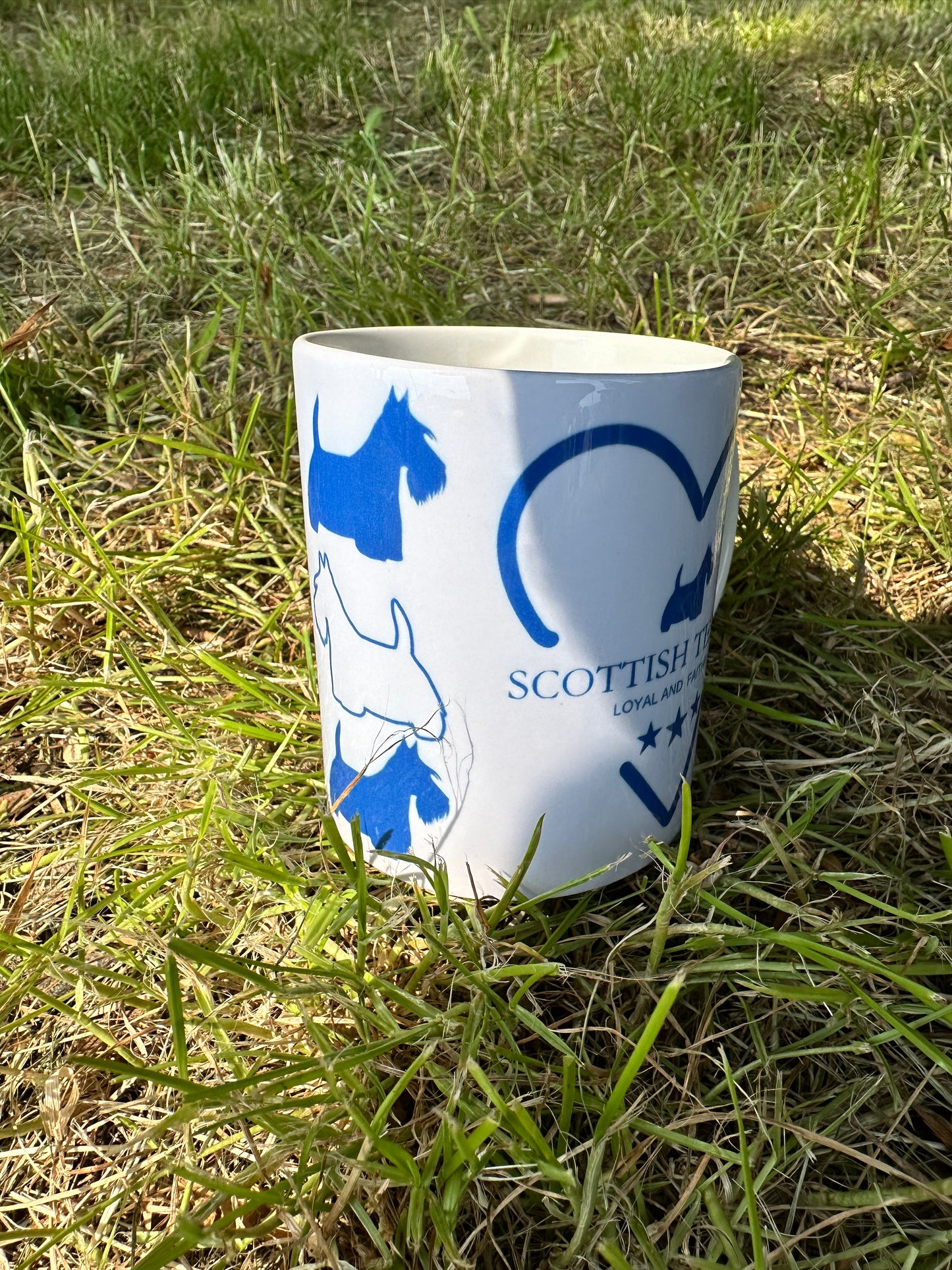 Scottish Terrier-Tasse „Standard“