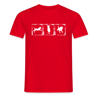 Border Terrier in action | Männer T-Shirt - Rot