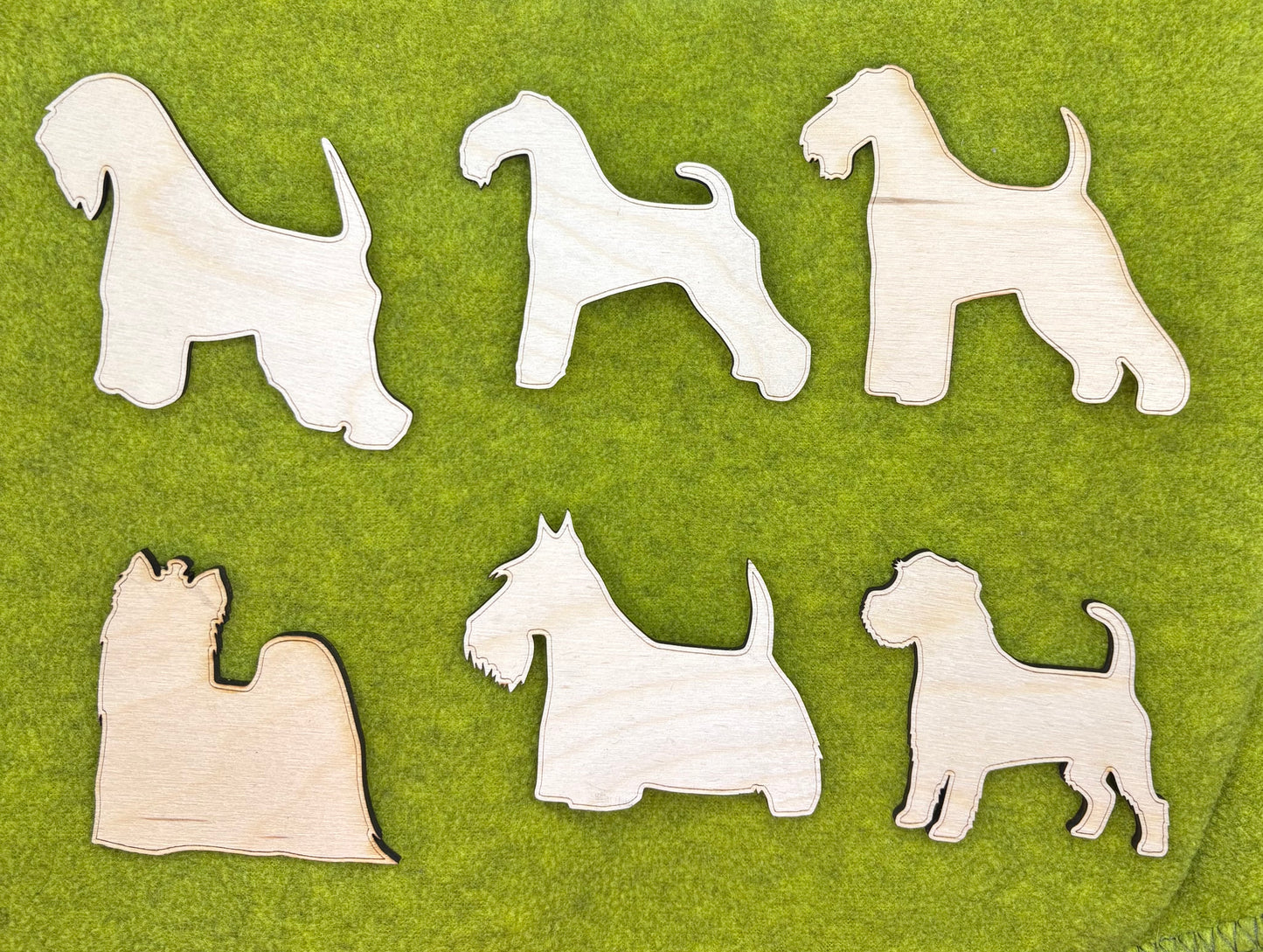 Startnummernhalter "groß" mit Terriermotiv (Kopie)