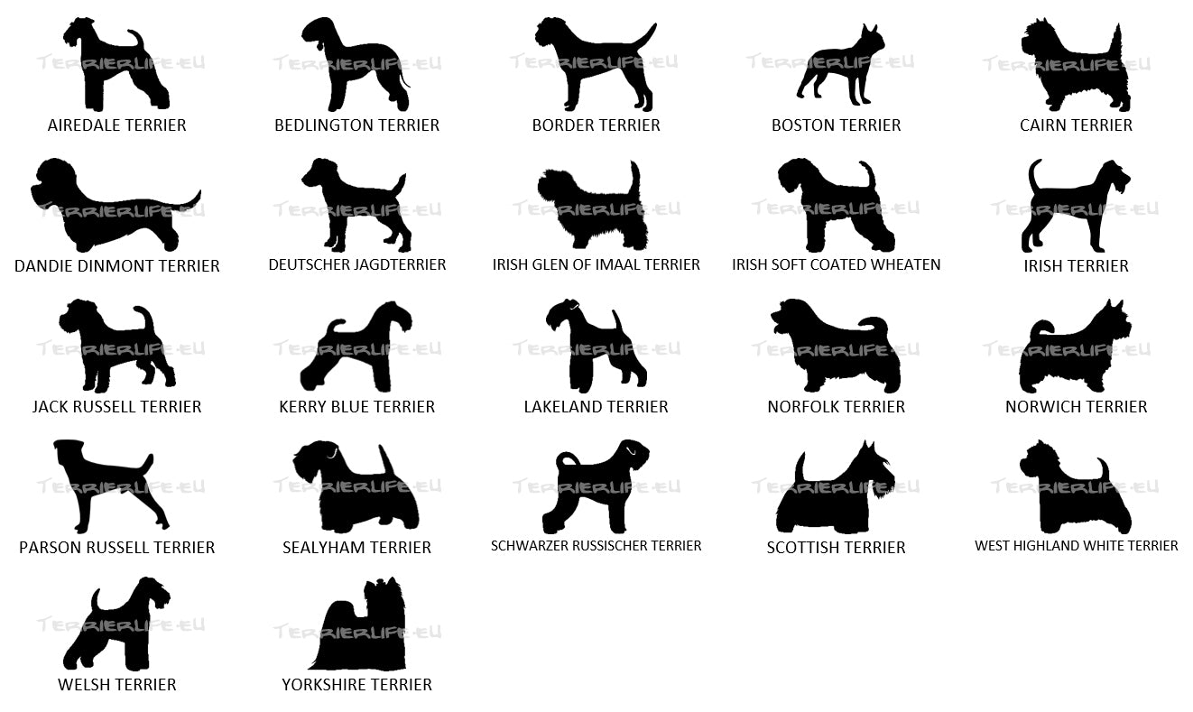 Whisky-Glas klein mit Terrier-Silhouette