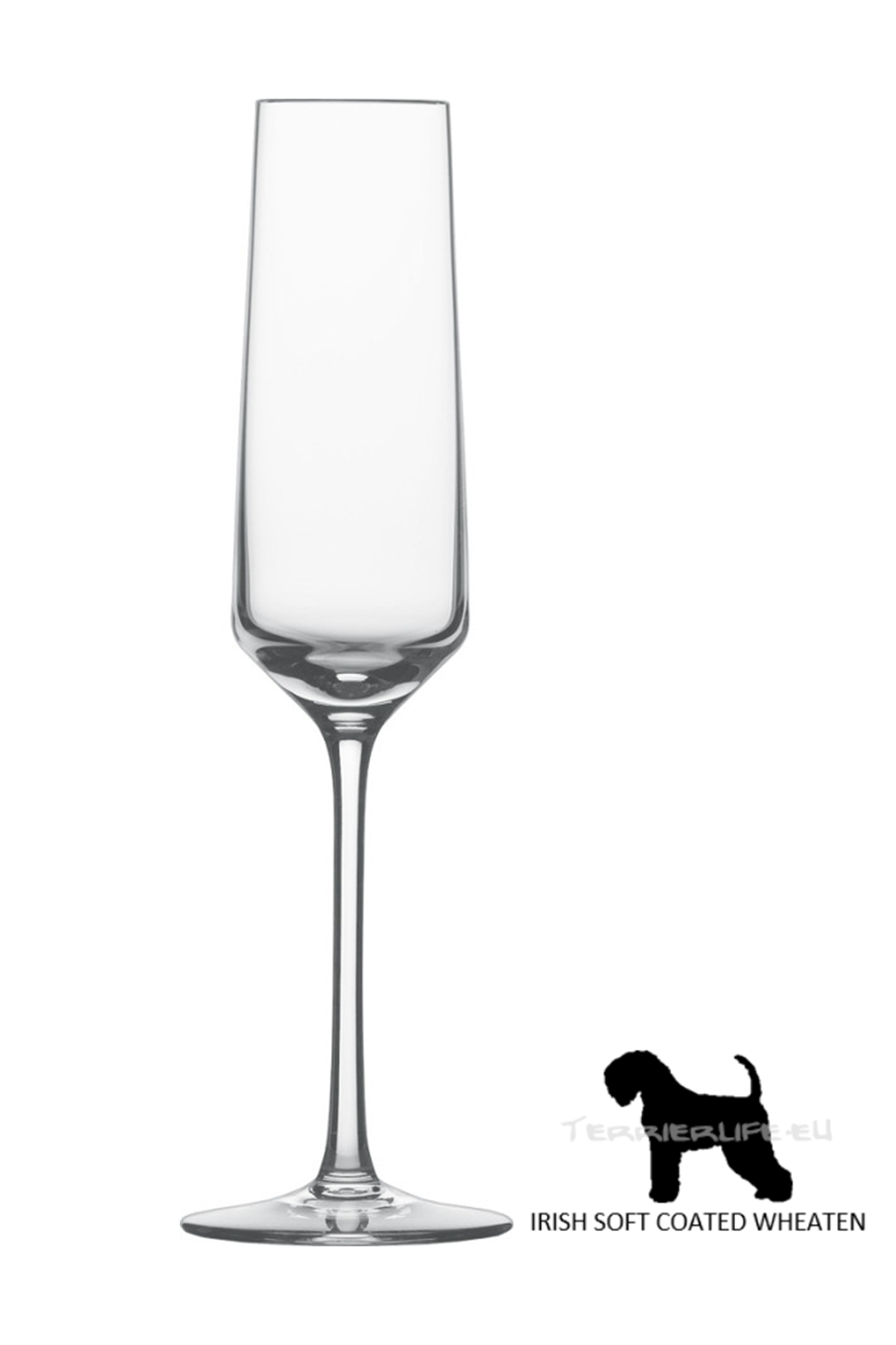 Sektglas mit Terrier-Silhouette