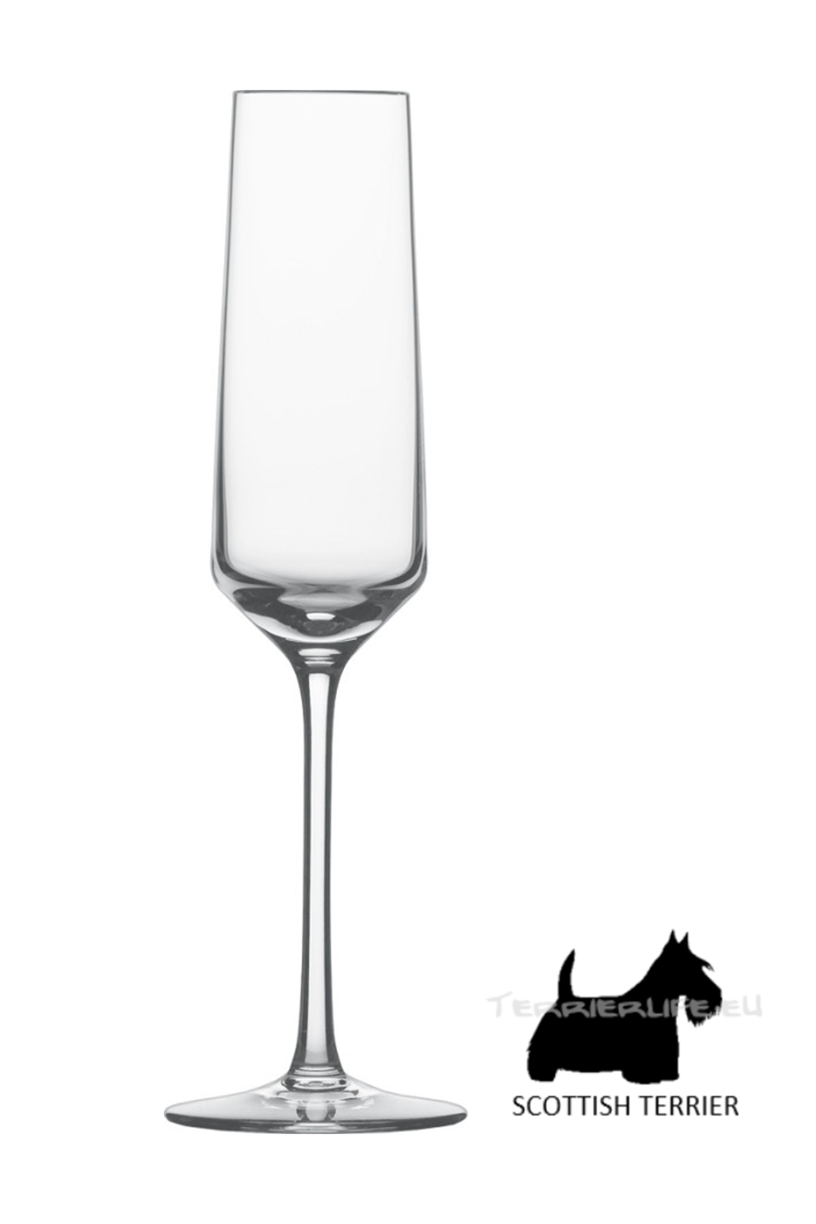 Sektglas mit Terrier-Silhouette