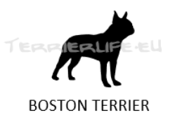 Whisky-Glas klein mit Terrier-Silhouette