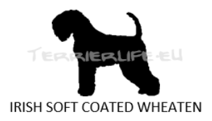 Whisky-Glas klein mit Terrier-Silhouette