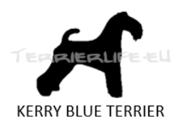 Whisky-Glas klein mit Terrier-Silhouette