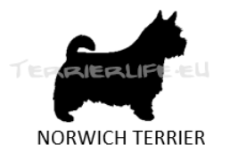 Whisky-Glas klein mit Terrier-Silhouette