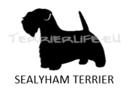 Whisky-Glas klein mit Terrier-Silhouette